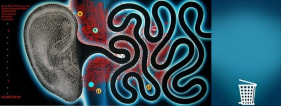 Prasanta Sahu IT ENTERS AND IT PASSES AWAY 2010 Acrylic on canvas 36 x 96 in.