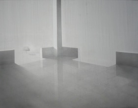 Dilip Chobisa, Who Owns it? B, 2022