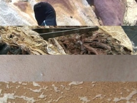 Farida Batool THOUSAND AND ONE NIGHTS 2007 Video clip 3:00 Minutes Edition 1/2