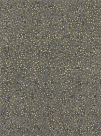 Anil Revri EVEN IN THE QUIETEST MOMENTS 2008 Mixed media on canvas 40 x 30 in.