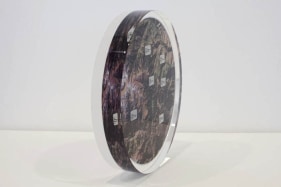 Tazeen Qayyum TRUSTED HOUSEHOLD PROTECTION 2009 Digital print, labels and entomology pins embedded in Lucite. 9 dia x 1.5 in. NFS