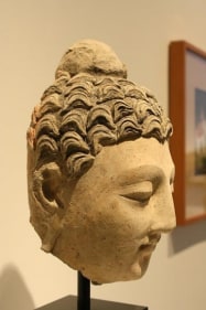 Head of Buddha 2 Ancient Region of Gandhara, Kushan Period 2nd/3rd Century Stucco with traces of pigment Height: 9.5 in.  NFS