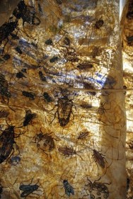 Jayashree Chakravarty UNTITLED B (SPHERE ALIEN) PAPER INSTALLATION - 6 Pieces 2008-2009 Pigment, tea stain, clay, acrylic on layered glued rice paper, tissue paper and cotton fabric Variable Dimensions NFS