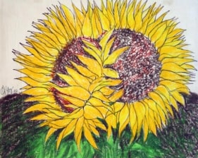 B. Prabha FLOWERS Pastel on paper 11 x 14 in.  SOLD