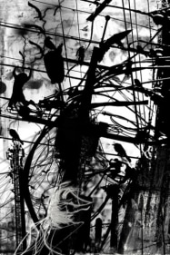 Janananda Laksiri Untitled (16) Archival pigment print on archival paper 60 x 40 in.