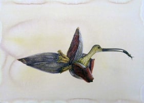 Avishek Sen There Was No Escape (C) 2016 Water-based medium on paper 11.5 x 16