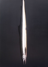 acrylic painting of a long skinny fish on a dark gray background