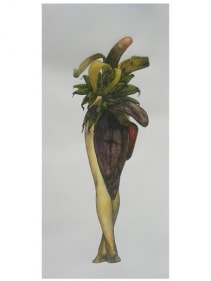 Avishek Sen LEGS &amp; FRUIT 2013 Water color on paper 12 x 16 in.