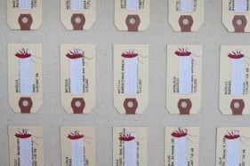 Tazeen Qayyum TEST ON A SMALL AREA BEFORE USE II 2007 Opaque watercolor and paper labels in wooden display case 20 x 16 x 2 in.