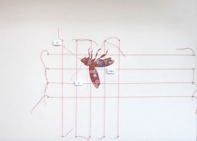 Tazeen Qayyum TEST ON A SMALL AREA BEFORE USE III 2007 Opaque watercolor, entomology pins, labels and cotton thread on wasli (prepared paper) in wooden display case 20 x 16 x 2 in.