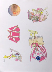 Debanjan Roy UNTITLED 5 2009 Acrylic on paper 14 x 11 in.