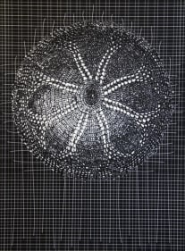 Abdullah M. I. Syed FLARE I (Ed. of 10) 2013 Silkscreen on BFK Rives 21.5 x 29.5 in.