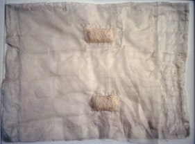 Smriti Dixit AS YOU WISH 1 2007 Mixed media 28 x 22 in.