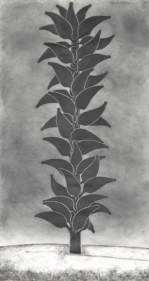 Debnath Basu BANANA STALK OF A HYBRID KIND 2007 Mixed media on paper 56 x 30 in.