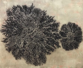 G. R. Iranna, Black Branches