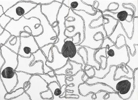 Debnath Basu COMMUNITY ACQUIRED DISEASE (DIPTYCH) 2007 Mixed media on paper 43 x 60 in.