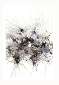 Dhara Mehrotra, Nexus VII, 2023