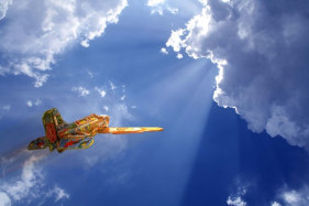 Sana Arjumand MAIRAJ - 1 2010 Digital print on canvas 30 x 45 in.  SOLD