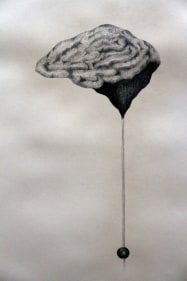 Thisath Thoradeniya Gray Matter IV 2016 Graphite on acid-free paper 31.5 x 25.5 in.