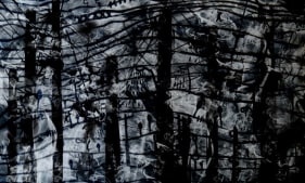 Janananda Laksiri Untitled (22) Archival pigment print on archival paper 40 x 66.5 in.