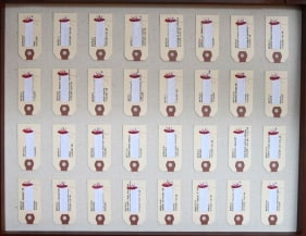 Tazeen Qayyum TEST ON A SMALL AREA BEFORE USE II 2007 Opaque watercolor and paper labels in wooden display case 20 x 16 x 2 in.