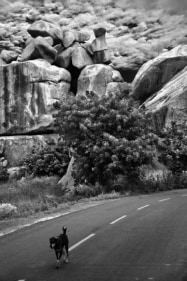 Raghu Rai ROCKS SERIES 6 2010 Digital scan of photographic negative on archival paper 30 x 20 in.