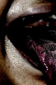 Vidya Kamat BIRTH. MARKS 27 2008 Digital print on archival paper 44 x 36 in. (Ed. of 6)