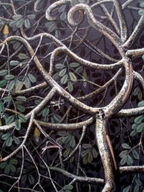 Rajan Krishnan PLANT FROM THE GROVE BY THE RIVER 3 2011 Acrylic on canvas 84 x 60 in.