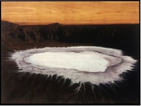 Saad Qureshi ​Lavishly Outpoured 2014 charcoal, white chalk, graphite, Indian ink on gaboon plywood 64.6 x 84.3 x 2 in.