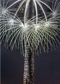 Rajan Krishnan PLANT FROM THE GROVE BY THE RIVER 4 2011 Acrylic on canvas 84 x 60 in.