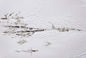 Saad Qureshi SURFACES 2013 Mixed media on canvas 30 x 84 in.