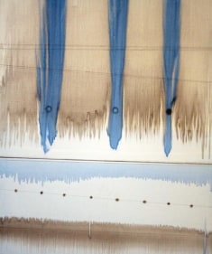 Avadesh Yadav UNTITLED 2 2007 Acrylic on canvas 48 x 40 in.