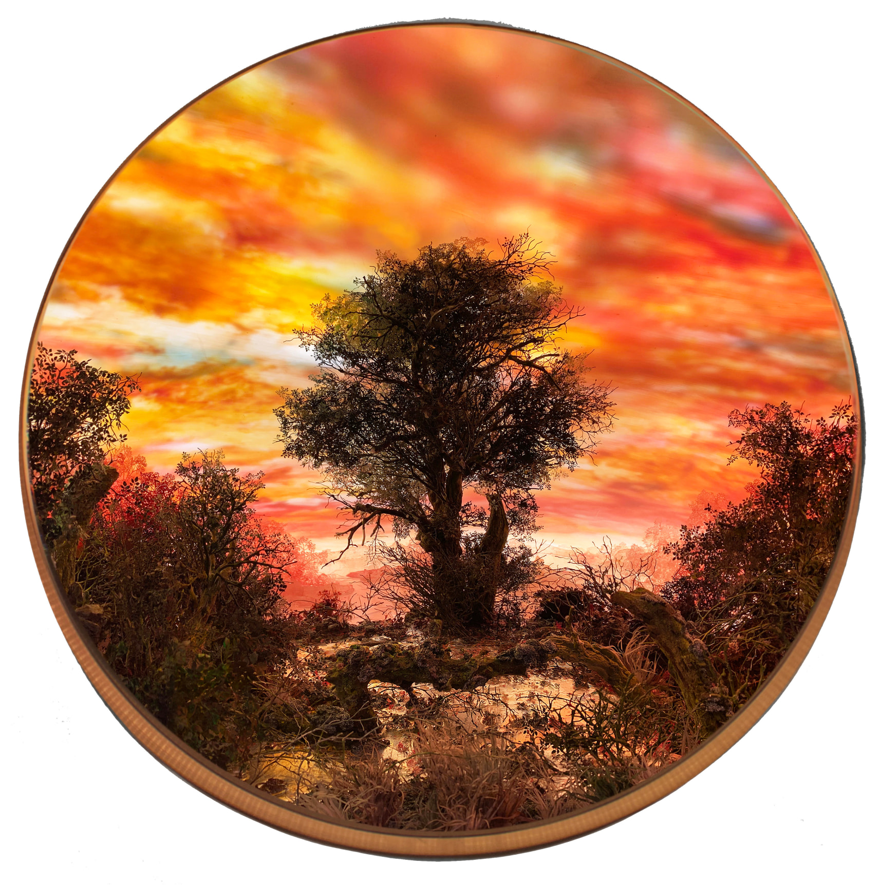 Patrick Jacobs American, b. 1971 . Tree with Red Moonlit Sky, 2020    Styrene, clay, paper, foam, wood, acrylic, steel, lighting, BK7 glass. 23 3/4 x 26 1/2 x 23 1/2 in.