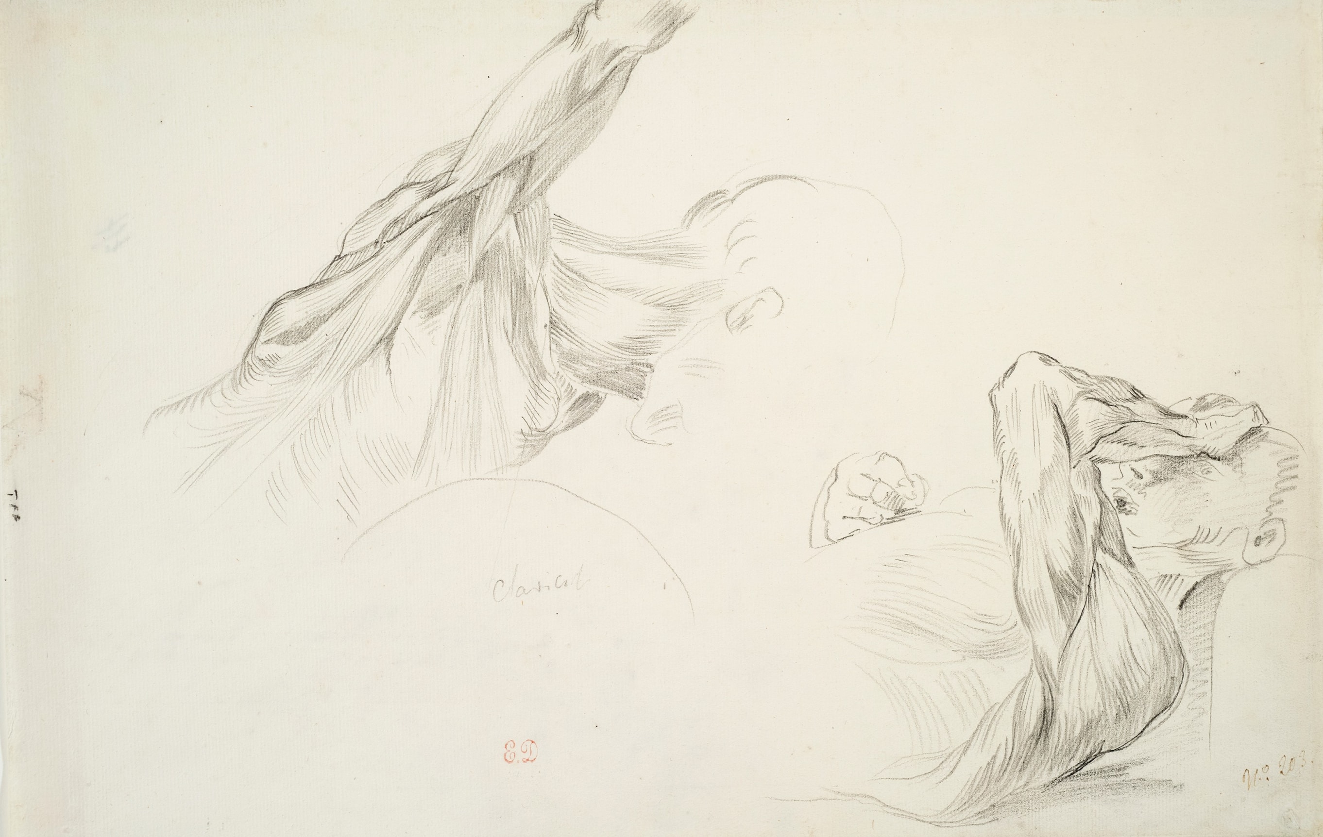 EUGENE DELACROIX French, 1798-1863 . Two Studies of the Flayed Muscles of a Man's Head and Shoulder  (Ecorch&eacute; &ndash; Deux &eacute;tudes de la t&ecirc;te et des &eacute;paules d&rsquo;un homme)    Pencil on paper 9 5/8 x 14 5/8 in