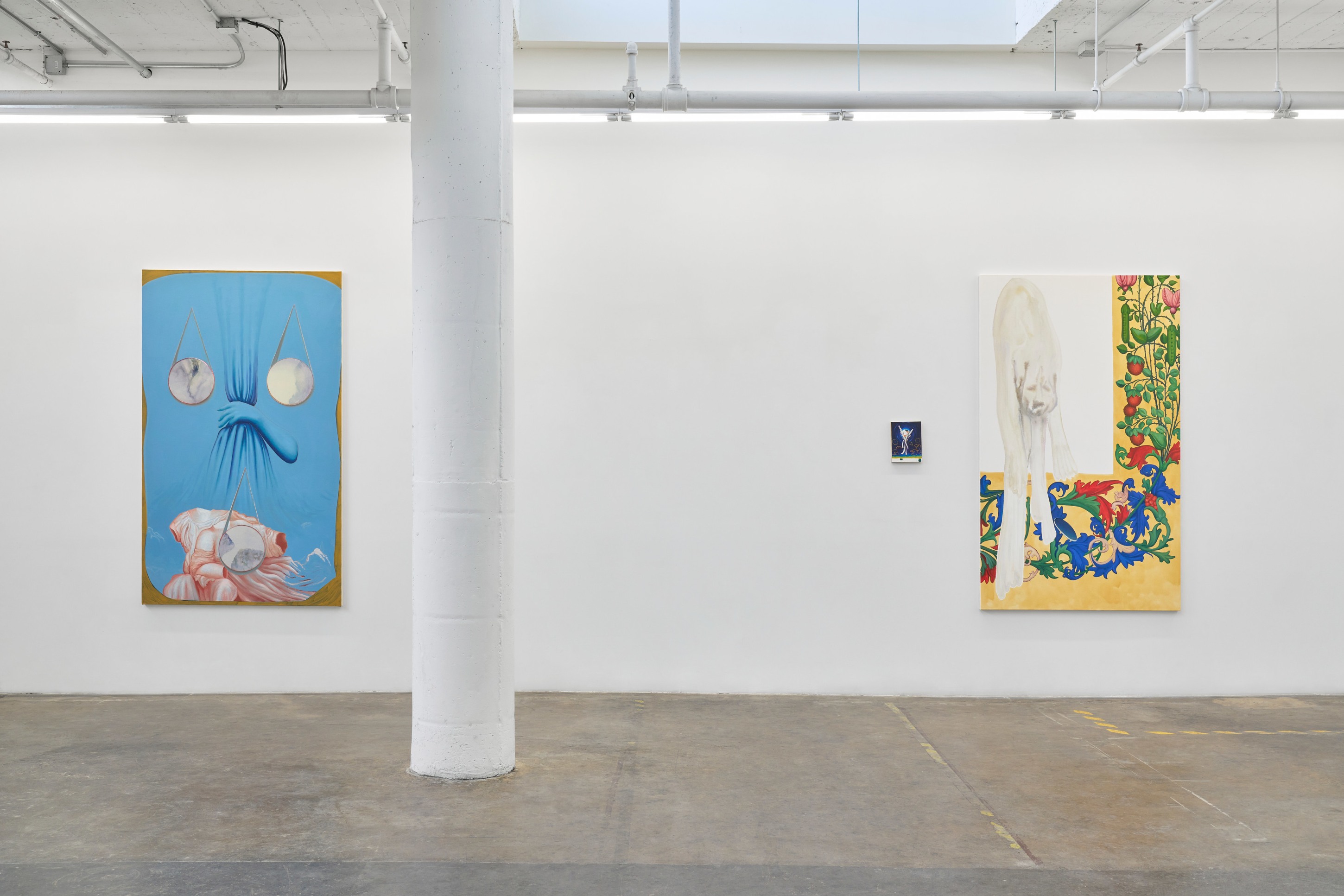 Titania Seidl: eyes never quite catching Installation View