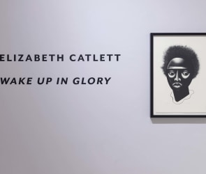 Elizabeth Catlett installation wall text 