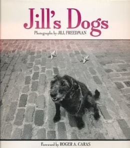Jill's Dogs by Jill Freedman