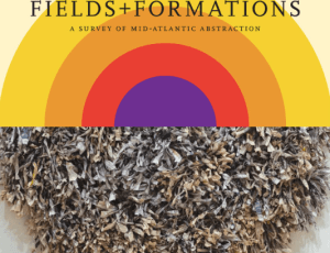 Fields and Formations: American University Museum