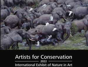 Artist for Conservation 2022 Exhibition Catalog Cover Announced