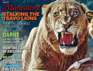 Sporting Classics Magazine features the Man Eaters of Tsavo by John Banovich