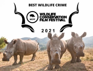 Last Horns of Africa-Winner of the ‘Best Wildlife Crime’ Film Award