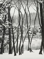 April Gornik: Profile in Hamptons Art Hub