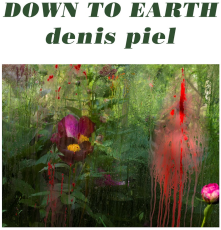 Denis Piel: Down to Earth