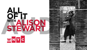 WNYC: All Of It | Pamela Hanson Captures the '90s With Her Fashion Photography