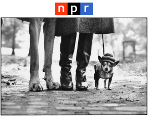NPR | Elliott Erwitt
