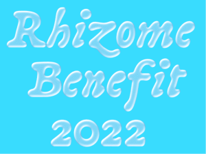 You’re Invited: Rhizome’s 2022 Benefit Honoring Rachel Rossin &amp; Julie Martin