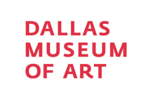 KARLA DIAZ AWARDED THE DALLAS MUSEUM OF ART ACQUISITION PRIZE