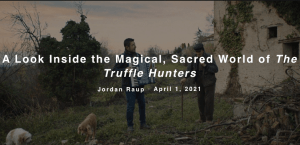 A Look Inside the Magical, Sacred World of The Truffle Hunters