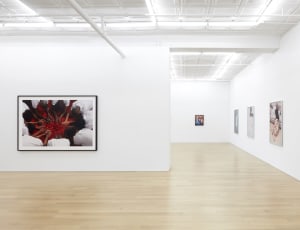 Online Viewing Room