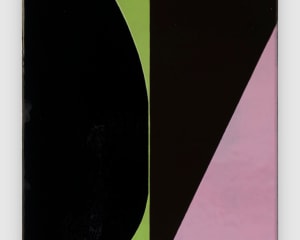 An abstract composition of large black shapes on top of pink, green, and gray color blocks, slightly shiny